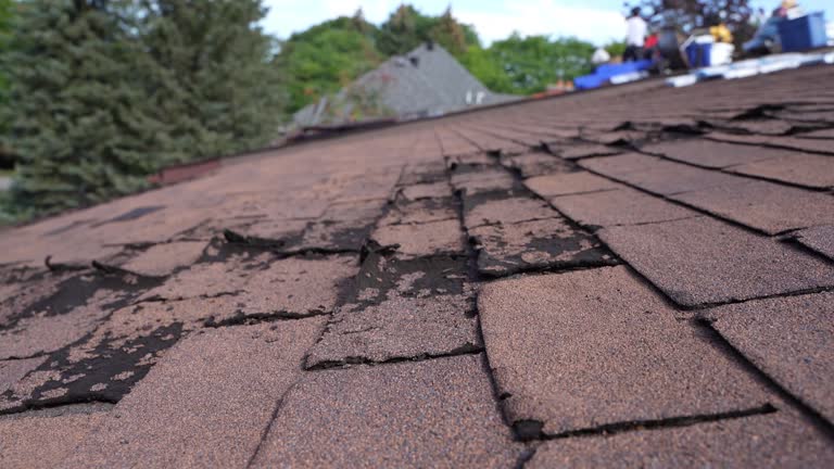 Best Roof Coating and Sealing  in Mcleansboro, IL