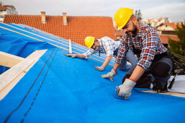 Best Roof Ventilation Installation  in Mcleansboro, IL